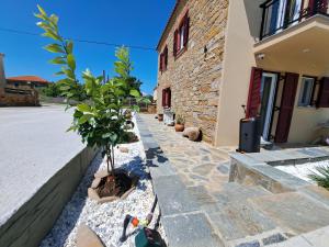 a stone walkway with plants in front of a building at Lucy's luxury I in Néa Koútali