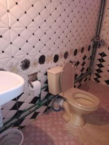 La salle de bains est pourvue de toilettes et d'un lavabo. dans l'établissement Riad Bouchra, à Tamtetoucht