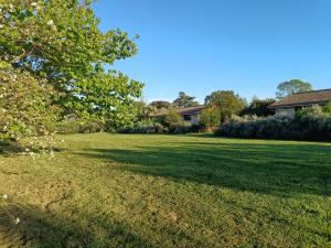 un gran patio con césped verde y un árbol en Agriturismo Fontelupo, en Bracciano