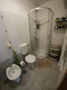 Un baño con ducha, inodoro y lavabo. en Prosecco di Abbazia, en Opatija