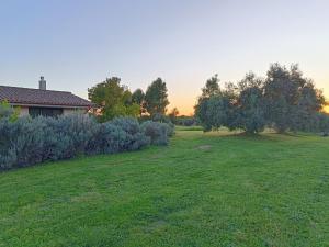 un campo de hierba con una casa y árboles en Agriturismo Fontelupo en Bracciano