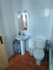 uma casa de banho com um lavatório, um WC e um espelho. em Lamedos em San Luis de Sabinillas