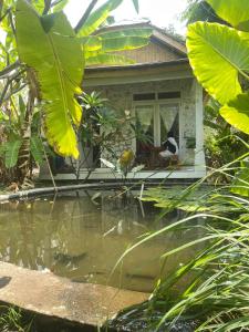 ein Haus mit einem Teich davor in der Unterkunft Villa Watumita Sikka in Hitokalak