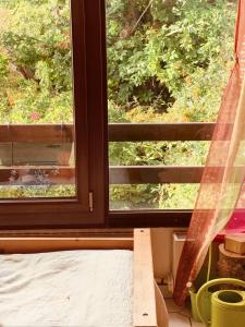 una vista su una finestra con un gatto che guarda fuori di Maison d'une chambre avec jardin clos et wifi a Osny a Osny