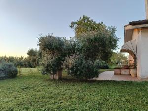 Κήπος έξω από το Agriturismo Fontelupo +16 φωτογραφίες