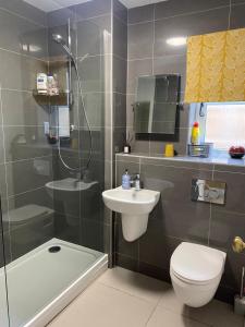a bathroom with a shower toilet and a sink at Suite near City, Science Park & Marshalls and close to Riverside walks in Milton