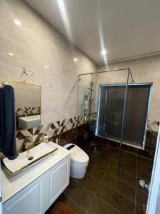 ein Bad mit einer Dusche, einem WC und einem Waschbecken in der Unterkunft Villa for rent in Tra Vinh City in Xóm Vàng