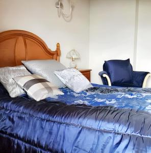 łóżko z niebiesko-białymi poduszkami w obiekcie 4 bedrooms house with jacuzzi and terrace at Zugarramurdi w mieście Zugarramurdi