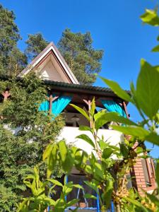 a house with a blue roof and some trees at Ostoja Lipiny 