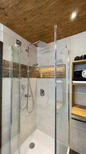 een douche met een glazen deur in de badkamer bij Mein Lieblingsplatz in Rettenberg