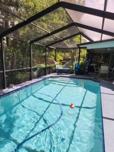 una grande piscina con struttura a pianta aperta di Hideaway in Serenity! a Clearwater