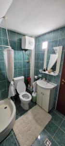 a bathroom with a toilet and a sink at Edelweiss Ilinca in Zărneşti +36 photos