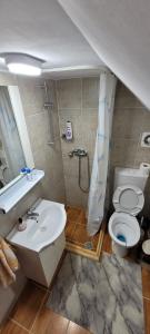 a bathroom with a sink and a toilet at Edelweiss Ilinca in Zărneşti +41 photos