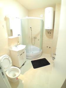 uma casa de banho com um chuveiro, um WC e um lavatório. em Aqua Apartments 2 em Jagodina