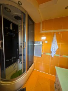a bathroom with a shower and a sink at Hostel Lejla in Podgorica