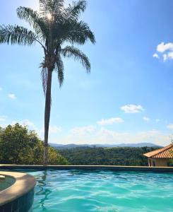 eine Palme und einen Pool mit Aussicht in der Unterkunft Recanto do João in Santa Isabel