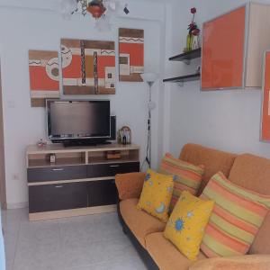 ein Wohnzimmer mit Sofa und Fernseher in der Unterkunft Alicante Habitación Oasis in Alicante