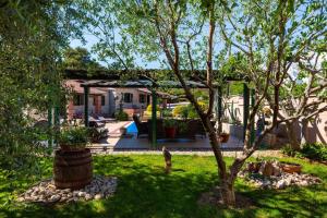 une cour avec un arbre et une maison dans l'établissement Stone villa Tea with pool, à Posedarje