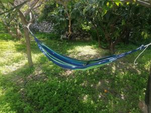 Gallery image of oasis studio in Diafani