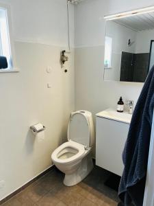 a bathroom with a toilet and a sink and a mirror at The Old Hotel Silkeborg - S1 in Silkeborg