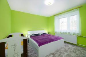 Dormitorio verde con cama y ventana en Apartmán Vlčovice, en Kopřivnice