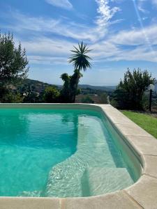 una piscina in un cortile con una palma di Domus de Goene a Loceri