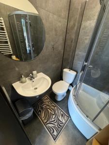 亞列姆切的住宿－Girske Povitria 2，一间带水槽、卫生间和镜子的浴室