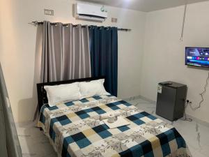een slaapkamer met een bed en een tv. bij Radiant lodge in Lusaka