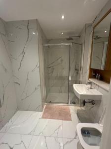 a bathroom with a shower and a sink and a toilet at Hanger Lane Luxury Apartment in Perivale