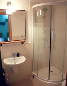 La salle de bains est pourvue d'une douche et d'un lavabo. dans l'établissement Casa Tisaru, à Lepşa