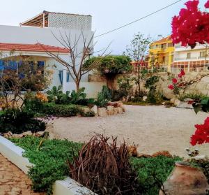 Zahrada ubytování Casa Djarmai Boutique Apartments + 37 fotografií