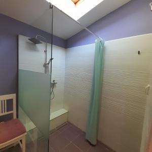 a shower with a glass door in a bathroom at Apartma Lavanda in Dramlje