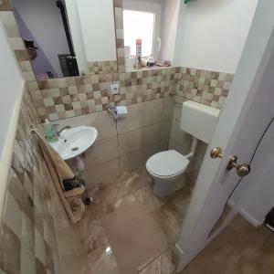 a bathroom with a toilet and a sink at Apartma Lavanda in Dramlje +8 photos