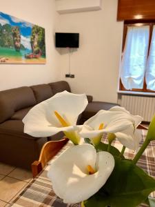 um grupo de flores brancas numa sala de estar em Perla house em Abbadia Lariana
