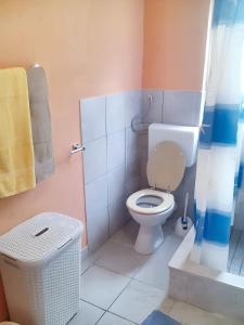 een badkamer met een toilet en een douche bij 2 bedrooms house with sea view furnished garden and wifi at Potirna in Vela Luka