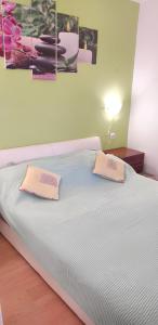 een slaapkamer met een bed met 2 kussens erop bij 2 bedrooms house with sea view furnished garden and wifi at Potirna in Vela Luka