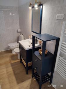 a bathroom with a sink and a mirror and a toilet at Guillaumont Apartment in Juan-les-Pins
