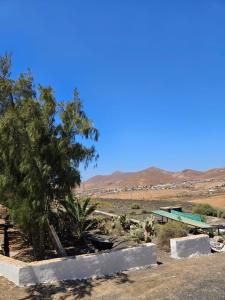 a tree and a building in the middle of a desert at Casa Campo de tiro Gayria in Tuineje +4 photos