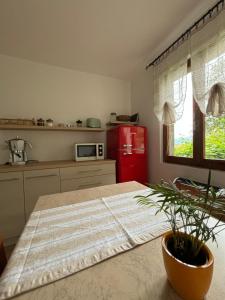 een keuken met een rode koelkast en een potplant bij Casa Zoe in Ameno