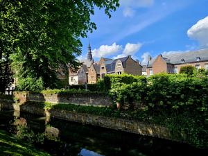 um grupo de casas e um rio em uma cidade em Begijnhof Historica Tongeren em Tongeren