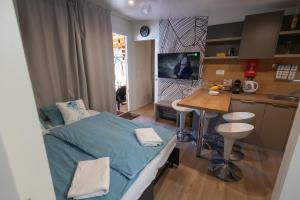 TV a/nebo společenská místnost v ubytování Adriakamp Mobilehome - Camp Soline