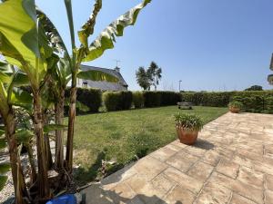 a garden with plants and a yard with a house at Maison 6 personnes Saint Cast Le Guildo in La Garde