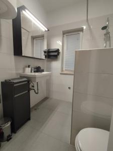 a bathroom with a toilet and a sink and a mirror at Apartments LAURA in Fažana