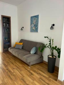 sala de estar con sofá y maceta en Fiesta Apartment on Franka 2BR-6P, en Leópolis