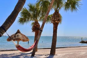 Φωτογραφία από το άλμπουμ του SkyBeach Resort σε St Petersburg +100 φωτογραφίες
