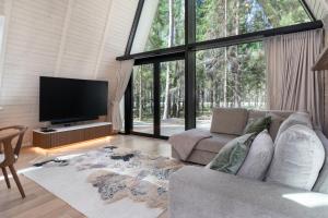 Una sala de estar con un sofá y un televisor de pantalla plana. en Kuuse elamusmajad, en Pillapalu