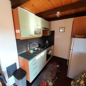 a small kitchen with a sink and a refrigerator at Počitniška hiška pri Lipi in Dramlje +14 photos