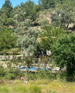 une piscine dans un champ planté d'arbres et d'une colline dans l'établissement Togo iztuzu Stonehouse-4, à Boğazağzı
