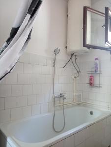 Kuršumlija的住宿－Apartman Aleksić Kuršumlija，带淋浴的浴室