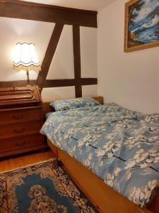 1 dormitorio con 1 cama y vestidor con lámpara en Logis im historischen Burgviertel Bad Wimpfen, en Bad Wimpfen